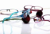 廠家直供彩印脾眼鏡價格_廠家直供彩印脾眼鏡廠家_世界工廠網產品信息庫